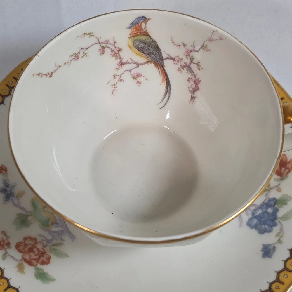 Theodore Haviland Limoges France Eden Bird of Paradise Teacup and Saucer Set